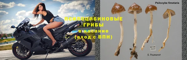 Альфа ПВП Вязьма