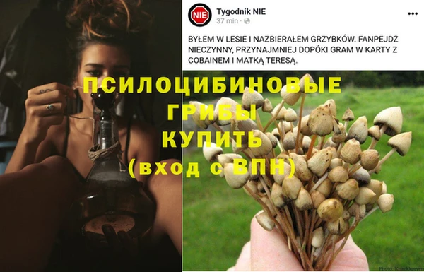 Альфа ПВП Вязьма