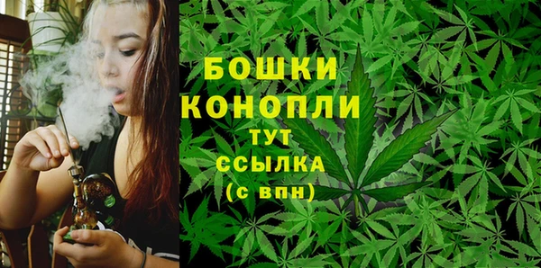 PSILOCYBIN Вязники