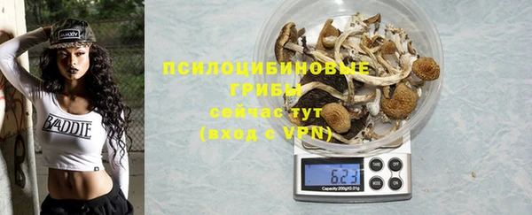 Альфа ПВП Вязьма